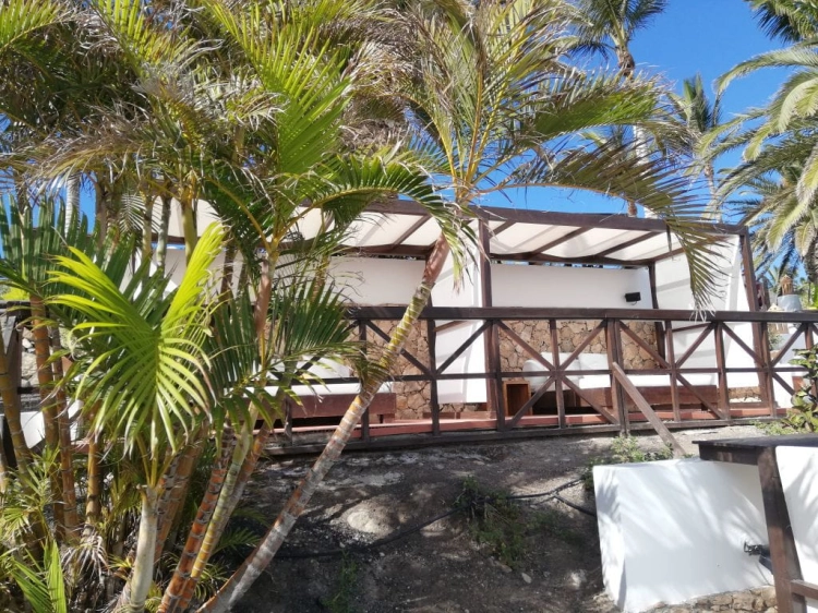 Store romain pare-soleil blanc monté sur une tonnelle en bois entourée de palmiers et de végétation exotique