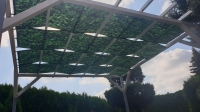 Voile d'ombrage imperméable pour tonnelle avec imprimé végétal vert monté sur une pergola blanche