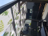 Voile d'ombrage imperméable pour tonnelle avec motif de feuilles vertes, monté sur une pergola en bois