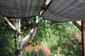 Graues HDPE Sonnensegel nach Maß montiert an einer Holzpergola im Garten neben einer Birke