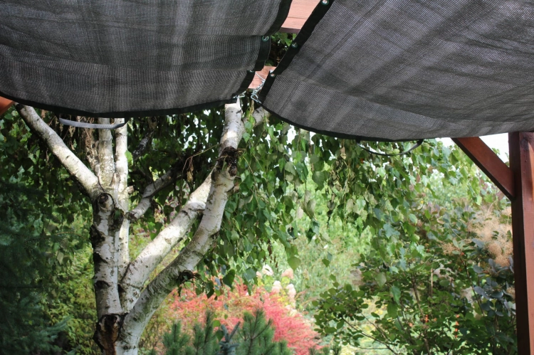 Grijs HDPE schaduwdoek op maat gemonteerd op een houten pergola in de tuin bij een berk