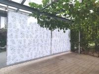 Rideau de jardin blanc à motifs de feuilles, installé sur une terrasse sous une pergola avec vigne