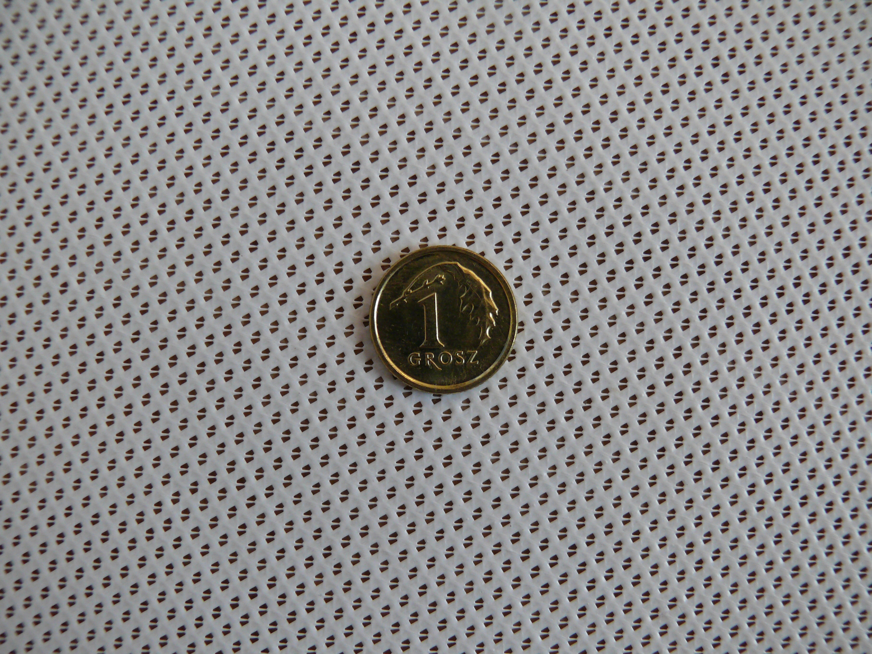 Une pièce de 1 grosz posée sur une sangle blanche pour tonnelle à tissage dense de type économique