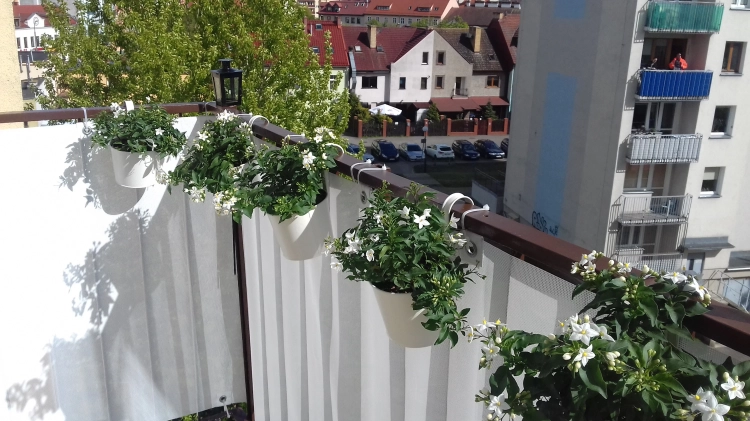 Biała osłona balkonowa na wymiar zamontowana na balustradzie tarasu z doniczkami z kwiatami